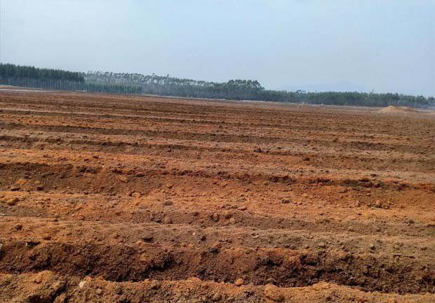 什么是土壤容重?