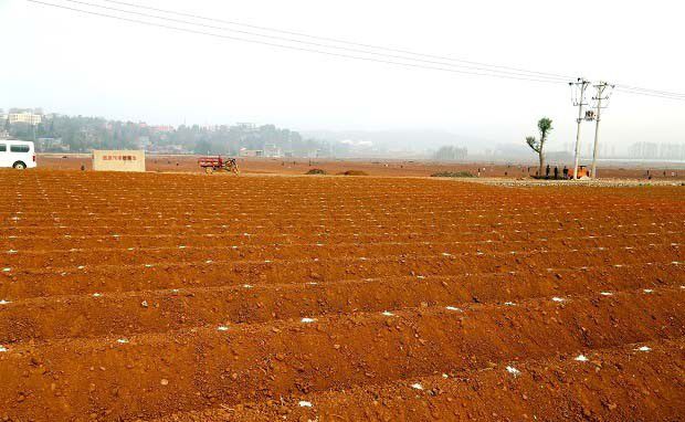 什么是土壤团聚体?