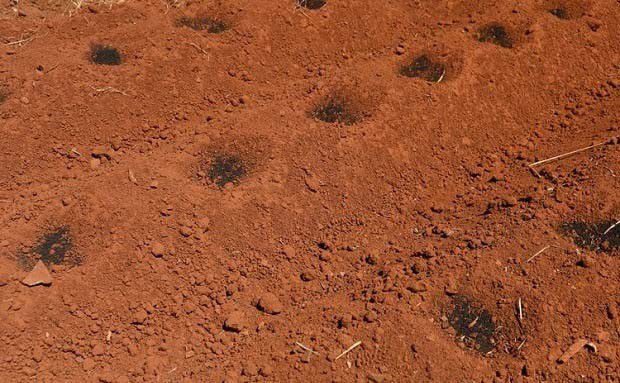 什么是土壤颗粒组成?