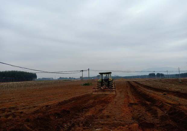 南方土壤矿物组成有什么特点?