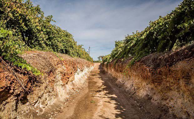 西北土壤矿物组成有什么特点?