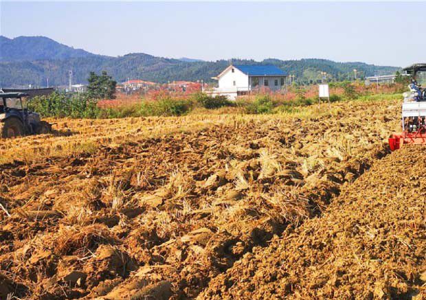 东北土壤矿物组成有什么特点?